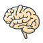 Icon_brain